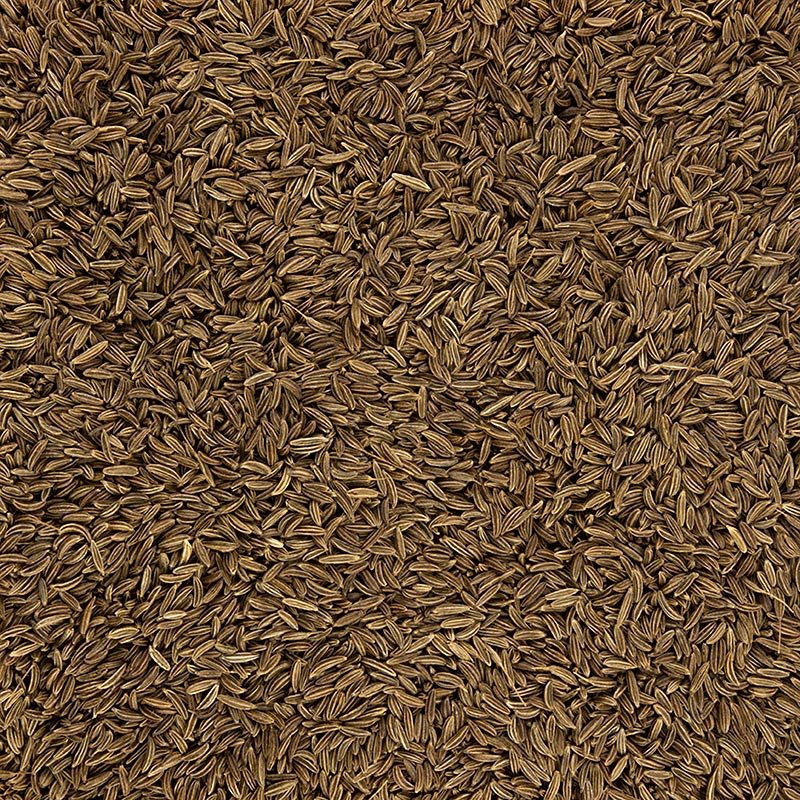 Kümmel, ganz, 1 kg | Salz, Pfeffer, Gewürze, Aromen,Trockengemüse | thungourmet