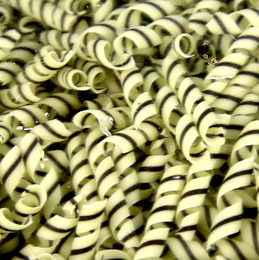 Deko - Aufleger "Tornado" - Lockenform, weiße/dunkle Schokolade, ca. 10x62mm, 800 g | Couverture, Schoko - Formen, Schoko - Produkte | thungourmet