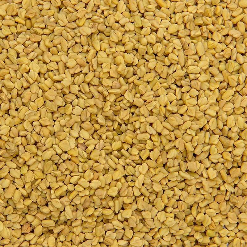 Graines de fenugrec - à torréfier avant utilisation, Methi Seeds, 100 g | Produits asiatiques et ethniques | thungourmet