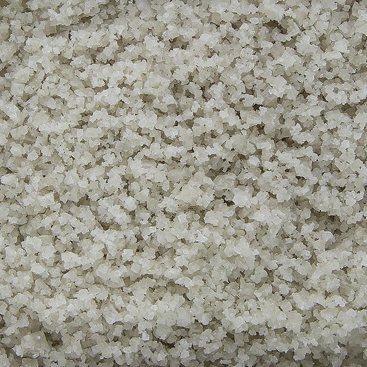 Sel marin, gros, gris, humide, Guérande/France, TradySel, 5 kg | Sel, poivre, épices, arômes, légumes secs | thungourmet