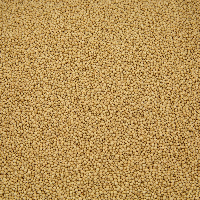 Amaranto, BIO, 1 kg Farina, cereali, impasti, miscele per dolci | thungourmet