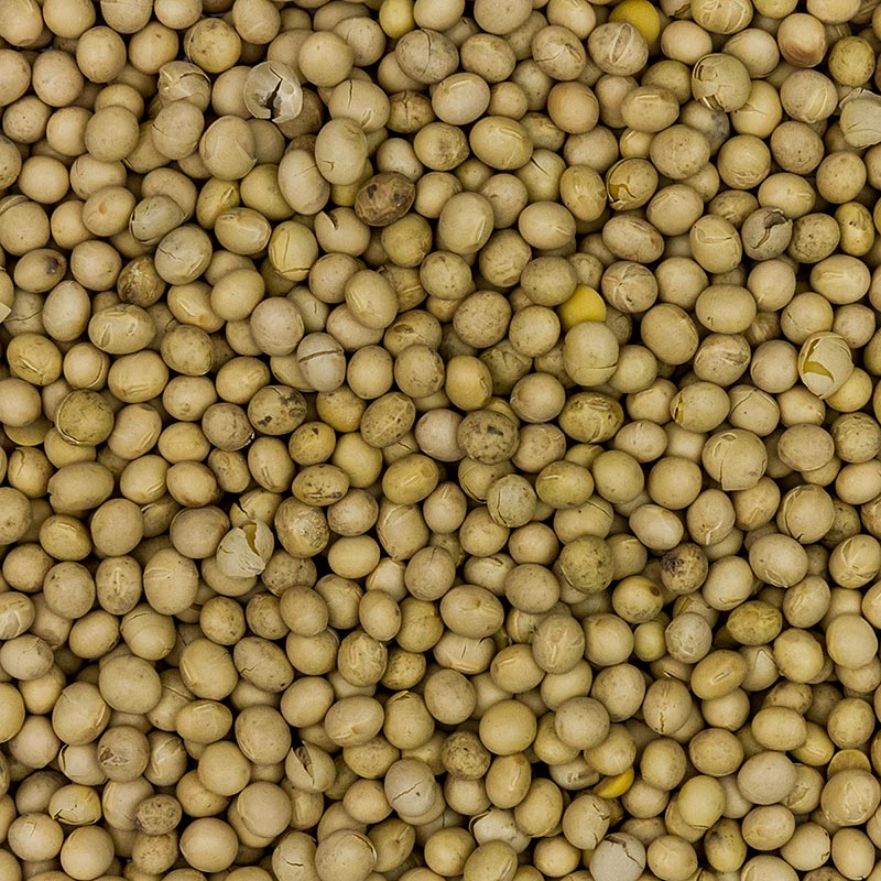 Fagioli di soia, Europa, BIO, 1 kg Riso, legumi, noci, castagne | thungourmet