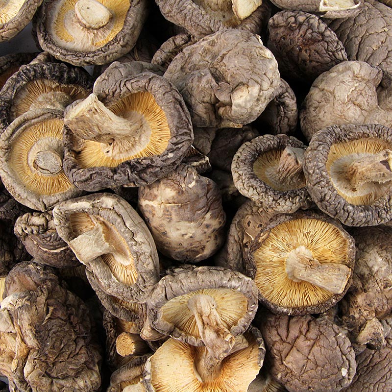 Funghi shiitake secchi (calibratura piccola ø 3-4cm), 500 g