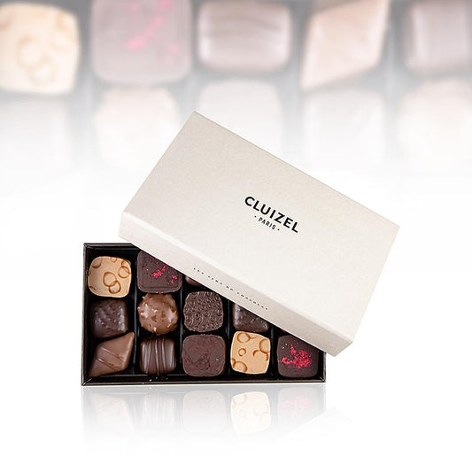 Coffret N.15 - Assortimento di cioccolatini misti, 15 pezzi, Michel Cluizel, 165 g, 15 pezzi | Copertura, stampi per cioccolato, prodotti al cioccolato | thungourmet