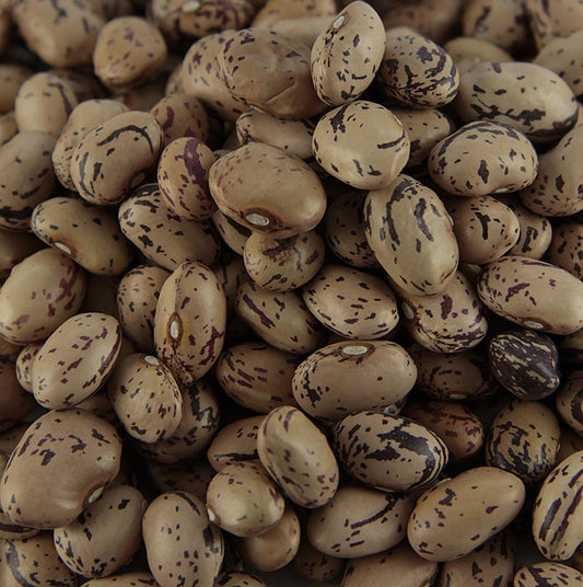 Getrocknete Borlotti-Bohnen, auch bekannt als Wachtelbohnen, in einem praktischen 500-g-Beutel verpackt Ideal für die Zubereitung von italienischen Suppen, Eintöpfen und Salaten