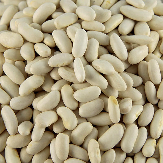 Getrocknete weiße Cannellini Bohnen, ideal für Salate und Eintöpfe, mit angenehm weicher Konsistenz, geeignet für tonno e fagioli in Italien