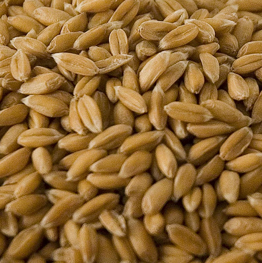 Bio-Dinkel, ganz und geschält, ideal für gesunde Gerichte wie Salate und Suppen, reich an Ballaststoffen, Eiweiß und Mineralien - 1 kg-Packung
