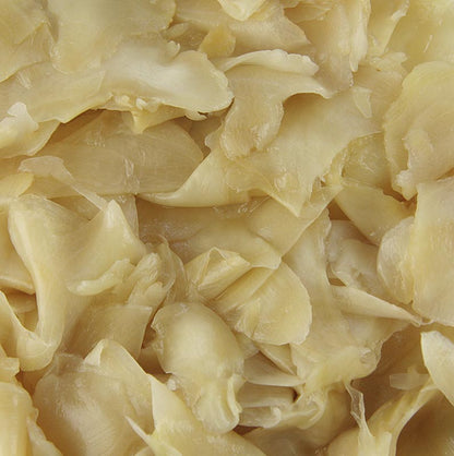 Zenzero, sottaceto, giallo, dal Giappone, 1,6 kg