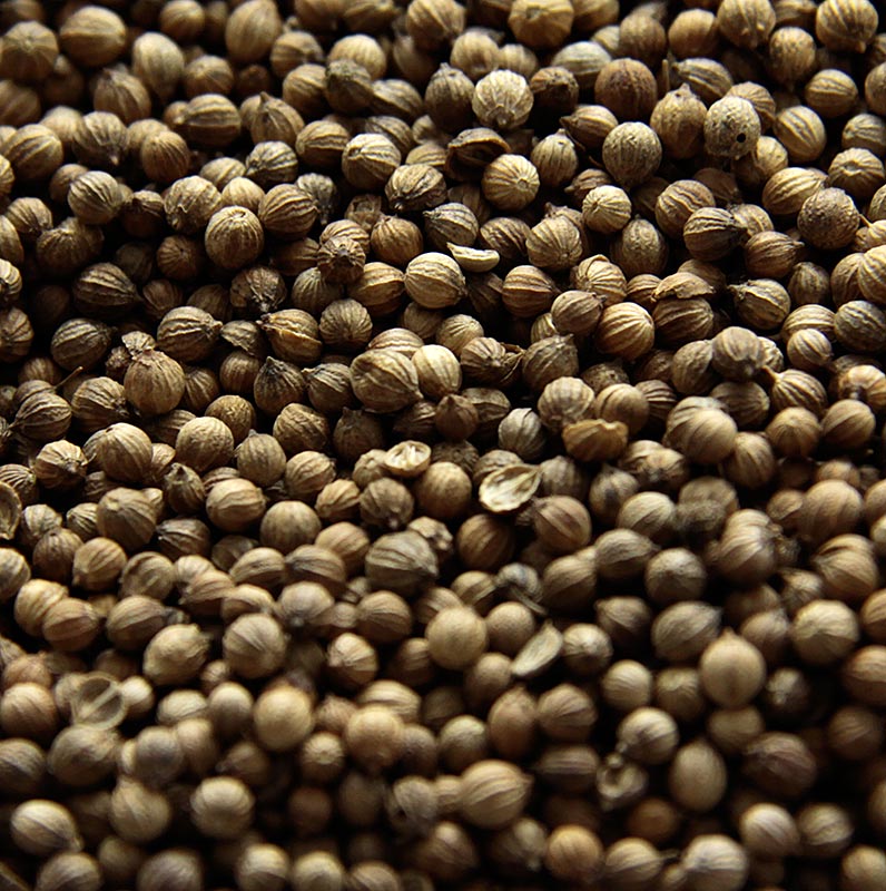 Korianderkörner, ganz, 1 kg - Aromatische und würzige getrocknete Frucht einer Doldenpflanze aus dem Mittelmeergebiet, reich an ätherischem Öl, vielseitig verwendbar als Gewürz im Haushalt und in der Dauerbackwarenindustrie