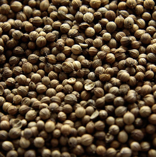 Korianderkörner, ganz, 1 kg - Aromatische und würzige getrocknete Frucht einer Doldenpflanze aus dem Mittelmeergebiet, reich an ätherischem Öl, vielseitig verwendbar als Gewürz im Haushalt und in der Dauerbackwarenindustrie