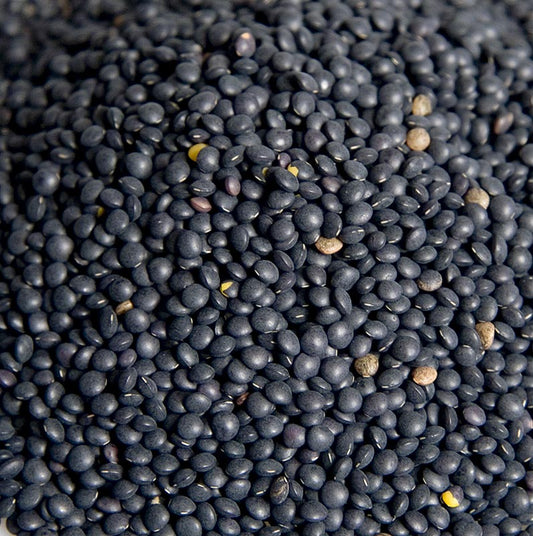 Lentilles Beluga noires, bio, 1 kg