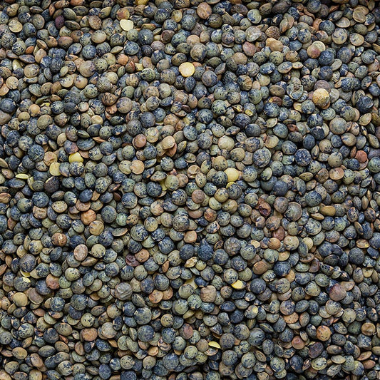 Linsen, grün - Linsen aus Puy, traditioneller Anbau, Frankreich, 1 kg - Hochwertige grüne Linsen aus Puy, Frankreich, in traditionellem Anbau, 1 kg-Packung