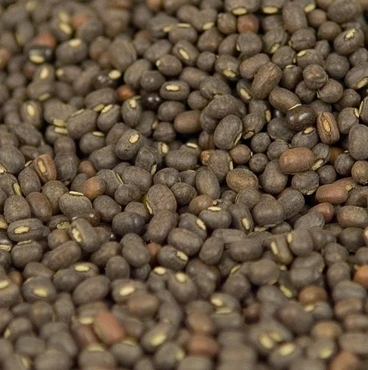 Schwarze ungeschälte Urid-Dal/ Uridbohnen, ganz, 1 kg - Grundlage für indische Gerichte und Beilagen, wie Dal, dosa, papadums und idlis