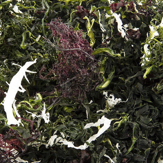 Kaiso Dried Seaweed Mix, alghe secche, 6 tipi di alghe per l'insalata Kaiso, 100 g