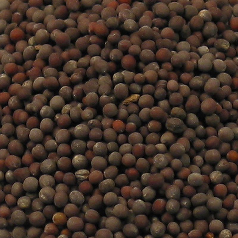 English: Dark 100g mustard seeds product packaging, Senfsaat, for culinary use