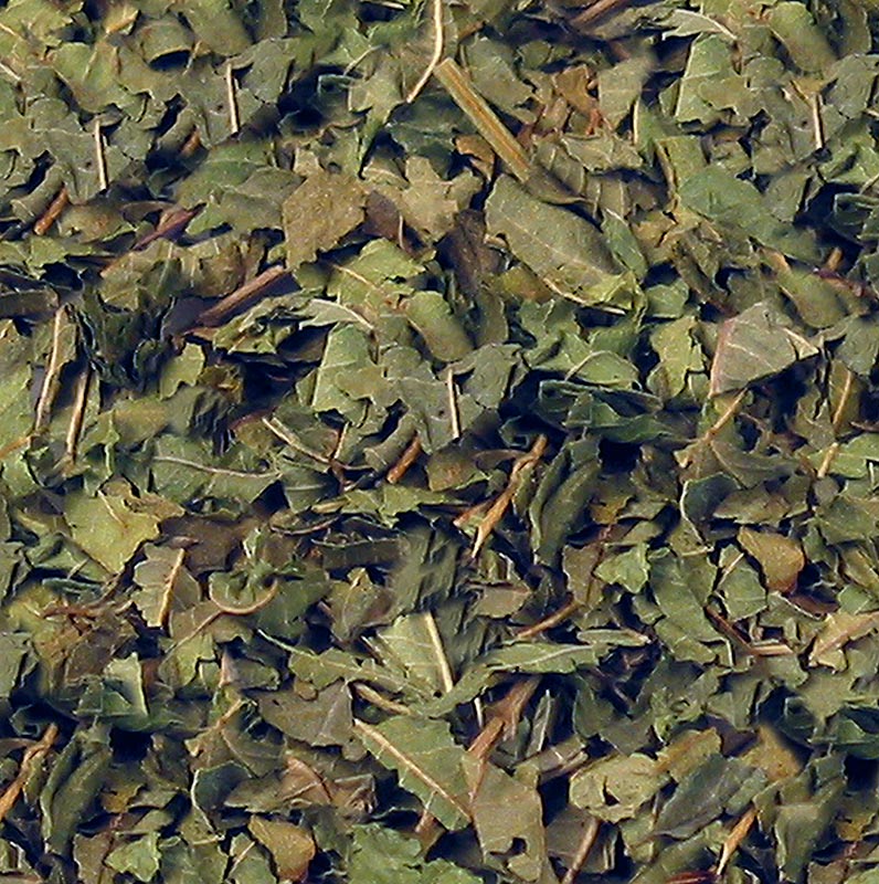 Geschnittene Zitronenverbene, auch bekannt als falsches Eisenkraut oder Verveine, in einer Packung mit 100 g Ideal zum Aufbrühen für einen aromatischen Kräutertee oder für die Herstellung von Verveine de Velay, einem französischen Kräuterlikör