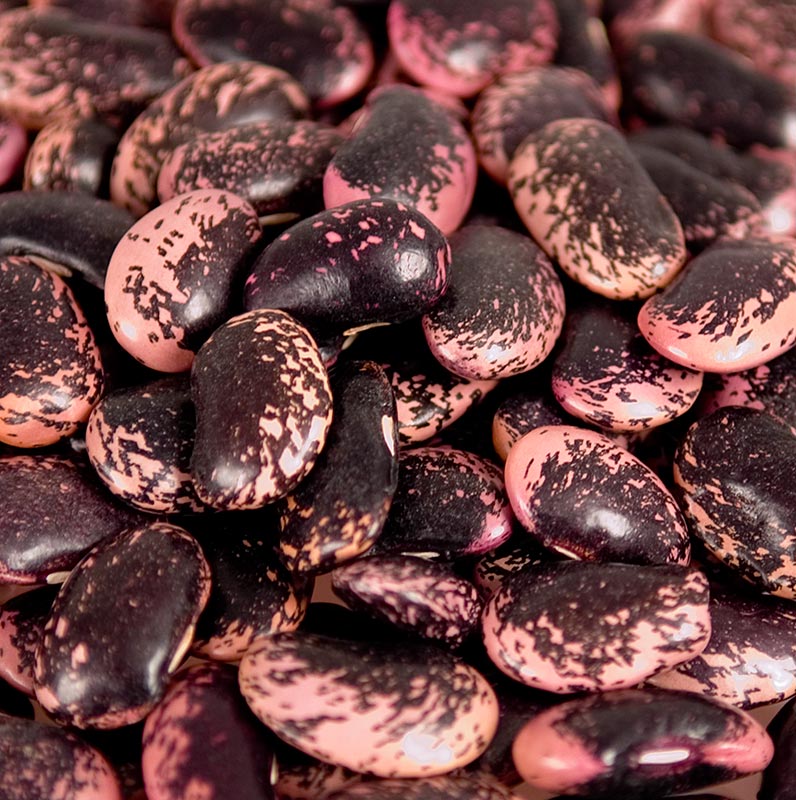 Große, rot-schwarz-violette getrocknete Käferbohnen aus Österreich, ideal für ballaststoffreiche Gerichte