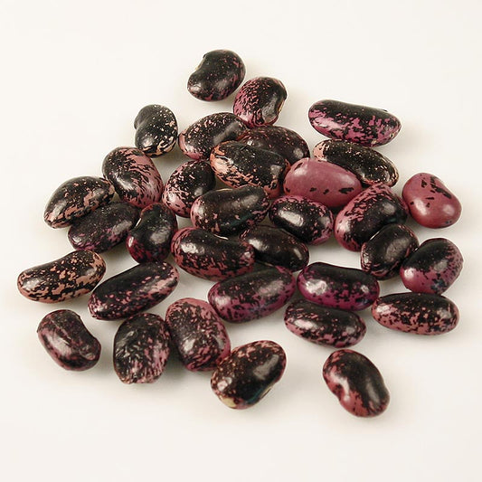 Fagioli, fagioli di coleottero, grandi, rosso-nero-violacei, secchi, Austria, 1 kg