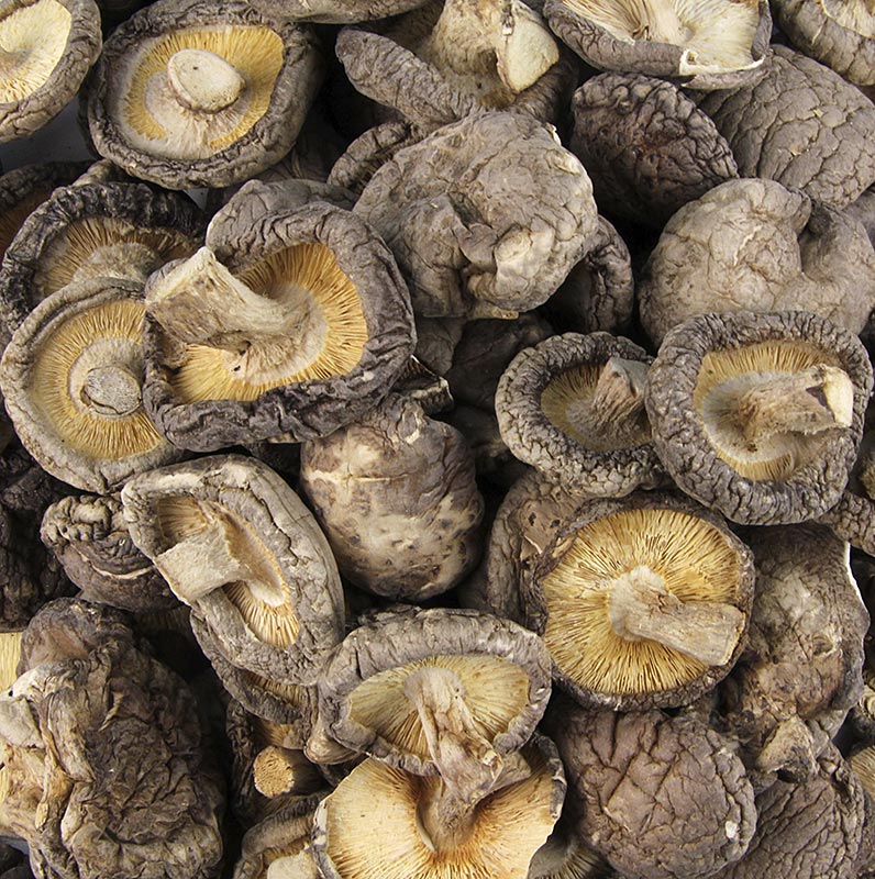 Shiitake Pilze, Tongu, kleine Kalibrierung ø 3cm, Zhong-Hon-Gu, 1 kg: Beliebter Speisepilz mit aromatischem Geruch und lauchartigem Geschmack Ideal für die vegetarische Küche