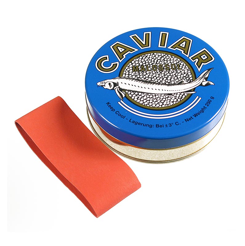 Leere dunkelblaue Kaviardose mit Verschluss-Gummi, ø 10 cm, für 250g Kaviar Ideal zum Servieren und Umportionieren von Kaviar