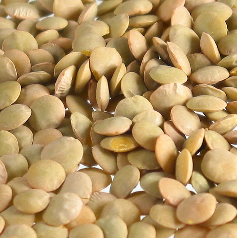 Linsen, blond, mittel, Tellerlinsen, Frankreich, 5 kg - getrocknete Hülsenfrüchte, die hauptsächlich in Spanien, Russland, Chile, Argentinien, USA, Kanada und Vorderasien angebaut werden und über Nacht eingeweicht und dann am nächsten Tag in Salzwasser weichgekocht werden, um sie für Eintöpfe, Salate oder Suppen zu verwenden; zusätzlich sind sie auch als Püree oder als Beilage zu verschiedenen Gerichten gebräuchlich