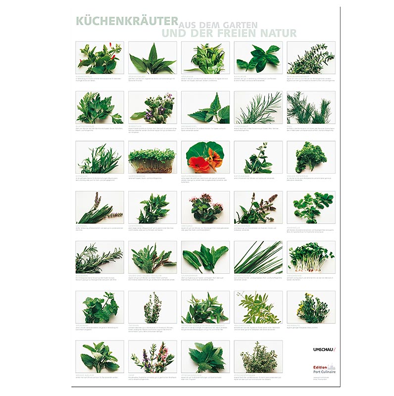 Küchenposter Küchenkräuter - hochwertiges Poster mit Auswahl an häufig verwendeten Kräutern für Hobbyköche, ideal zum Aufhängen in der Küche, inspirierend für verschiedene Geschmäcker und Aromen