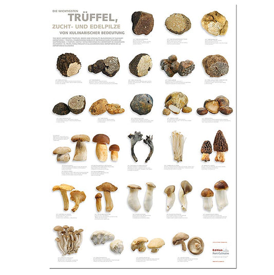 Küchenposter Trüffel- und Edelpilze von Port Culinaire, 59,4 x 84cm, leuchtende Farben, Blickfang in jeder Küche, Inspiration für Hobby- und Profiköche, stilvoll und kulinarisch-elegant