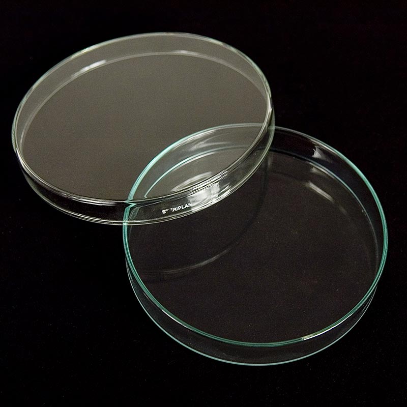 Petrischale aus Glas mit Deckel, Durchmesser 15 cm, ideal für präzise wissenschaftliche Experimente und Probenahmen, langlebig und wiederverwendbar, in der Schweiz erhältlich