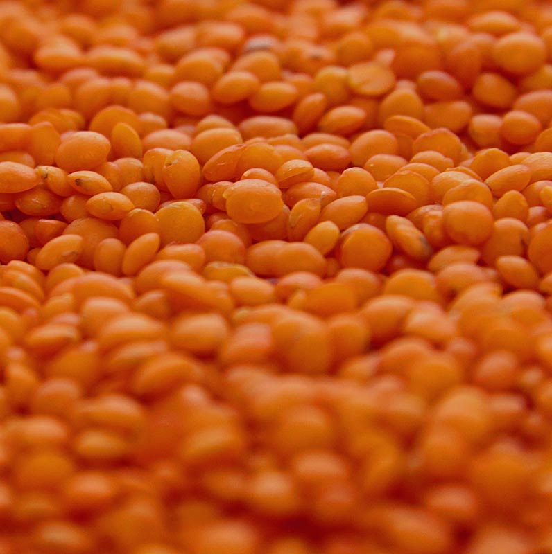 Roter Linsen-Sack aus der Türkei, 5 kg, ideal für Suppen, Currys und Salate