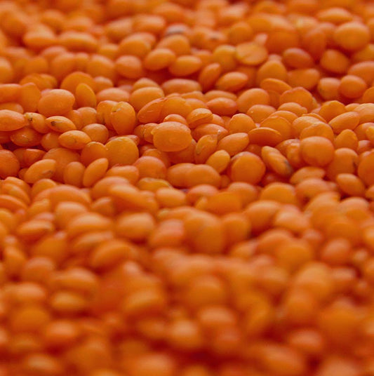 Roter Linsen-Sack aus der Türkei, 5 kg, ideal für Suppen, Currys und Salate