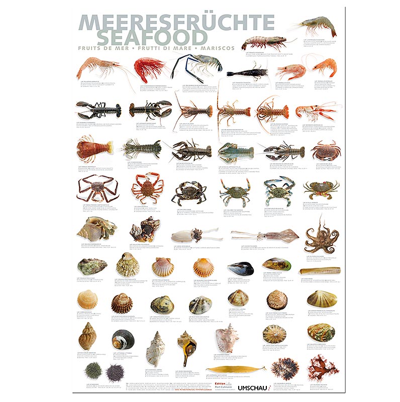 Port Culinaire - Poster da cucina con motivi di frutti di mare (59,4 x 84 cm), 1 pz