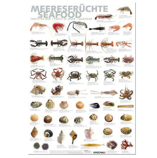 Port Culinaire - Poster da cucina con motivi di frutti di mare (59,4 x 84 cm), 1 pz