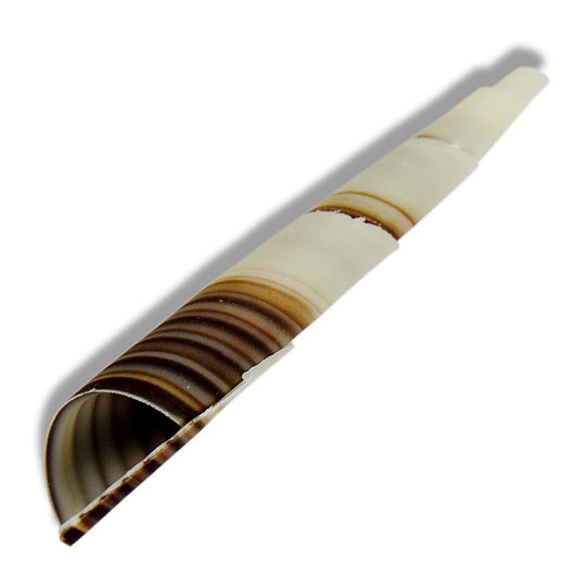 Topper decorativo "Cornet" - mini cornetta, marmorizzata, circa 80 mm, 350 g, 117 pezzi.
