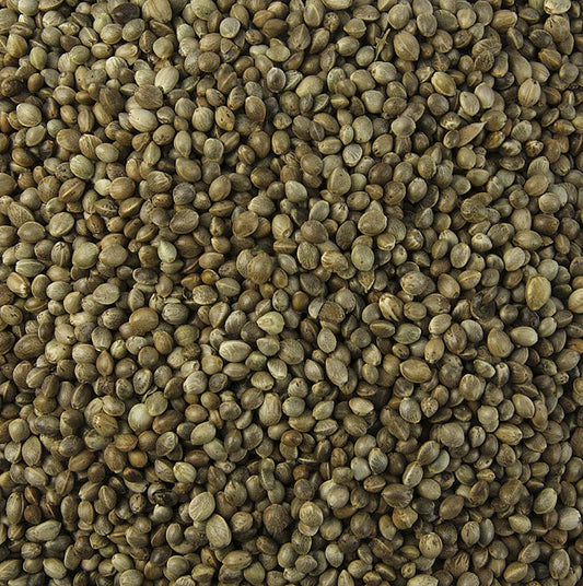 Hanfsamen, ungeschält, ungeröstet, BIO, 1 kg - Rohes und ungeröstetes Bio-Hanfsamenprodukt mit herbwürzigem, nussigem Geschmack