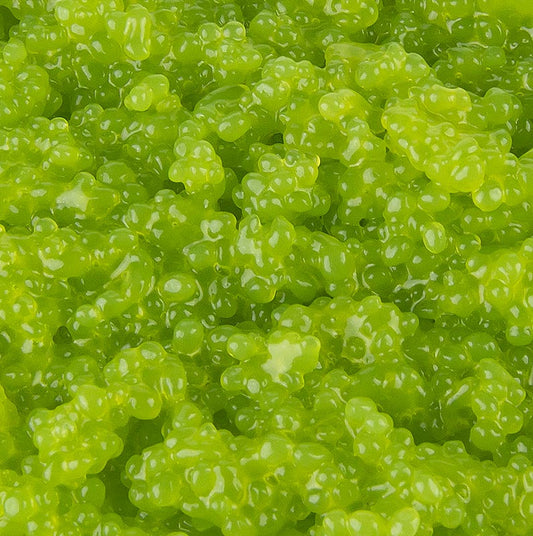 Algen-Kaviar von Cavi-Art® mit Wasabi-Geschmack, 500 g - vegan, vielseitig einsetzbar in warmen und kalten Gerichten, hohe Aufwärmung möglich, appetitlich und köstlich frisch, hervorragende dichte Konsistenz und knackig im Geschmack