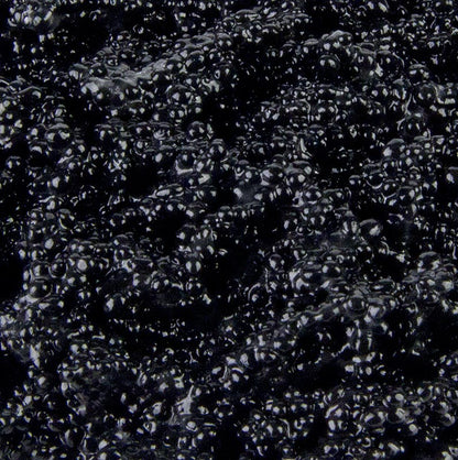 Cavi-Art® Algen-Kaviar, Trüffel-Geschmack, vegan, 500 g