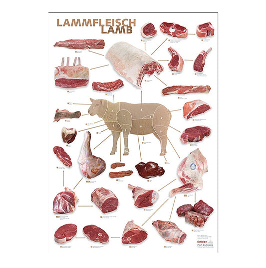 Port Culinaire - Küchenposter Lamm (59,4 x 84cm), 1 St - Hochwertiges Poster mit Informationen über Lammfleisch, ideal für Hobbyköche und Profis, praktische Referenz in der Küche, stilvolle Dekoration für Ihre Küche oder Ihr Restaurant, entdecken Sie die kulinarischen Möglichkeiten von Lammfleisch