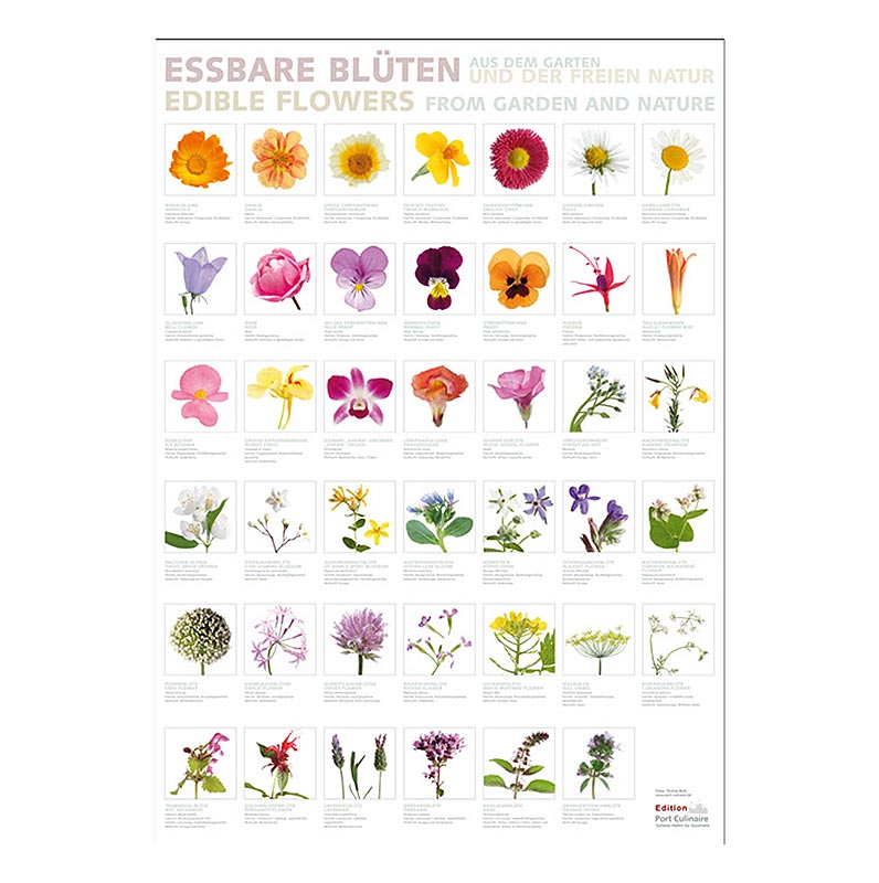 Port Culinaire - Poster da cucina "Fiori commestibili" (59,4 x 84 cm), 1 pz.