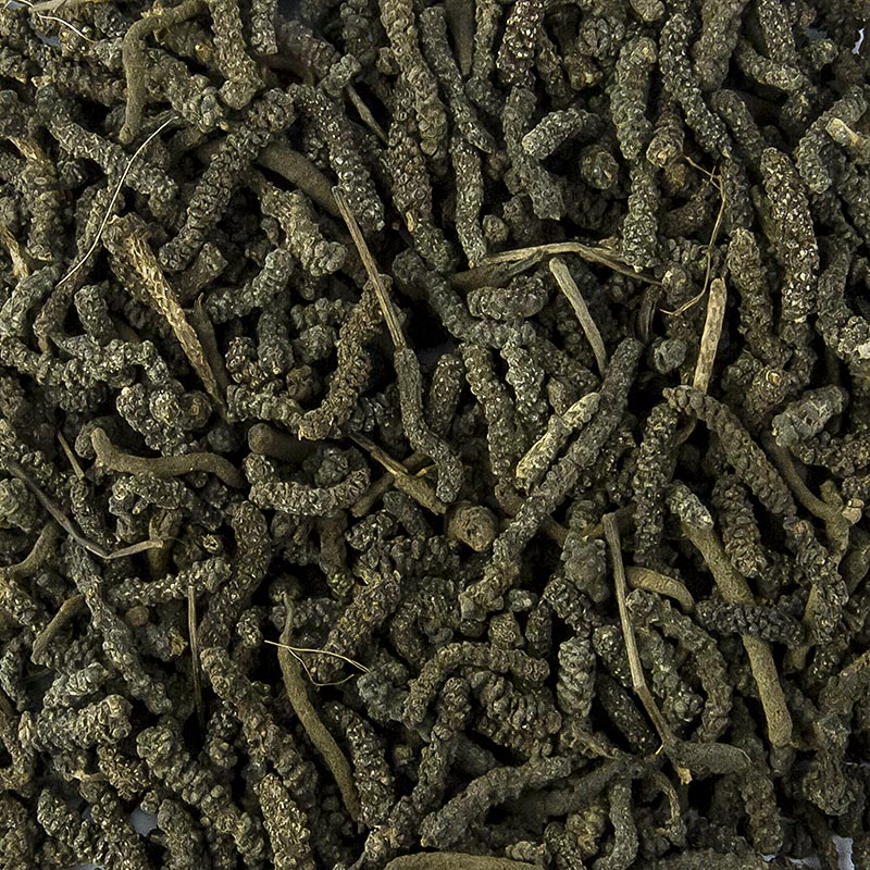 Langer Pfeffer - Stangen-, Balinesischer-, Bengalischer Pfeffer, ganz, 1 kg: Illustration des exotischen Gewürzes aus Indien und Indonesien, bekannt für seine Schärfe und vielseitige Verwendung in asiatischen und indischen Gerichten