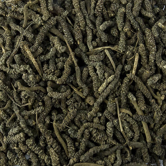 Langer Pfeffer - Stangen-, Balinesischer-, Bengalischer Pfeffer, ganz, 1 kg: Illustration des exotischen Gewürzes aus Indien und Indonesien, bekannt für seine Schärfe und vielseitige Verwendung in asiatischen und indischen Gerichten