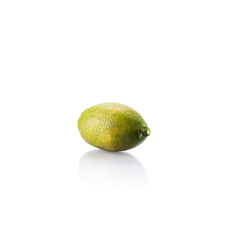Frische Finger-Limes oder Limettenkaviar, grün und saftig, 1 kg Verpackung