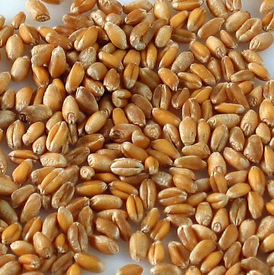 Bio-Vollkornmehl 1 kg - unraffinierter Weizen von lokalen Bauernhöfen Ideal für Backkreationen, von handwerklichem Brot bis zu köstlichen Pizzaböden