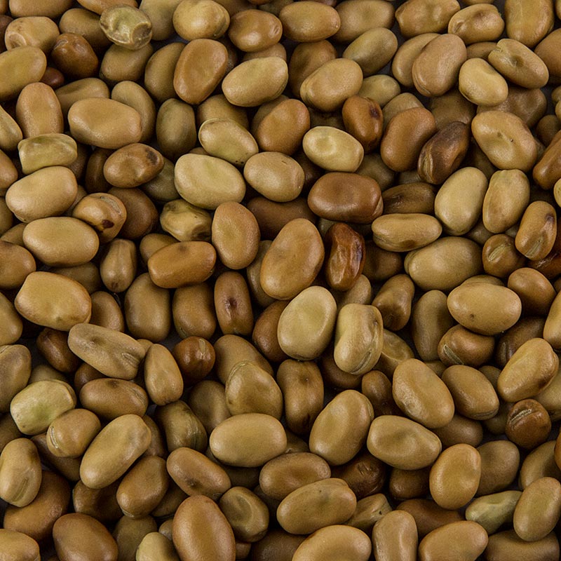 Foul Medammas - Getrocknete Fava Bohnen, 800 g, verwendet für das arabische Gericht Foul Medammas, eingeweicht, gekocht und gewürzt mit Knoblauch, Salz, Cumin, Olivenöl, Petersilie, Zitronensaft, serviert mit Fladenbrot, Schafskäse, Eiern, Gurken und Tomaten