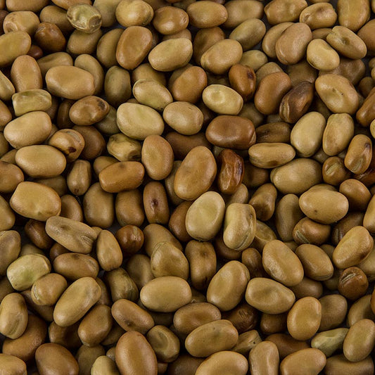 Foul Medammas - Getrocknete Fava Bohnen, 800 g, verwendet für das arabische Gericht Foul Medammas, eingeweicht, gekocht und gewürzt mit Knoblauch, Salz, Cumin, Olivenöl, Petersilie, Zitronensaft, serviert mit Fladenbrot, Schafskäse, Eiern, Gurken und Tomaten
