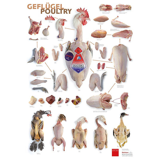 Küchenposter Geflügel von Port Culinaire: Hochwertiges Poster mit verschiedenen Geflügelsorten und Zubereitungstipps für die Küche
