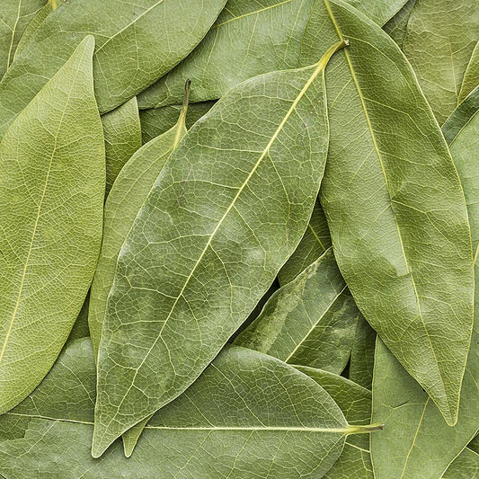 Luftgetrocknete Berg Lorbeerblätter von Altes Gewürzamt, 5 g - Einzigartige Aromen von frischem Lorbeer, Kampfer, Minze und exotischen Früchten, ideal für Pasta, Suppen, Schmorgerichte und Süßspeisen, Dosierung: 1/3 der üblichen Menge Da es sich um ein Naturprodukt handelt, kann das Aussehen abweichen
