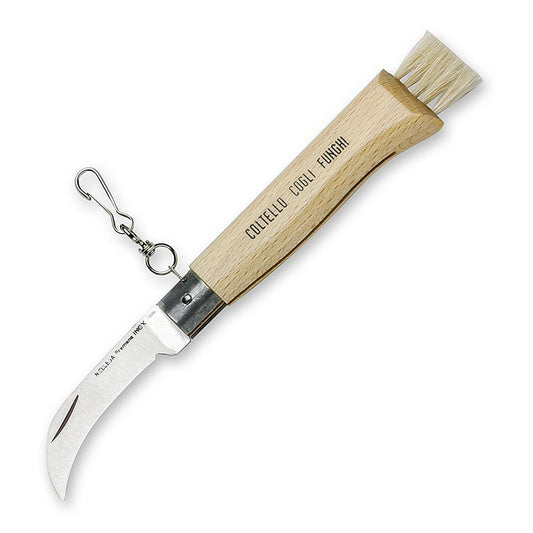 Couteau à truffes avec brosse, pliable, longueur env. 21,5cm, 1 pc