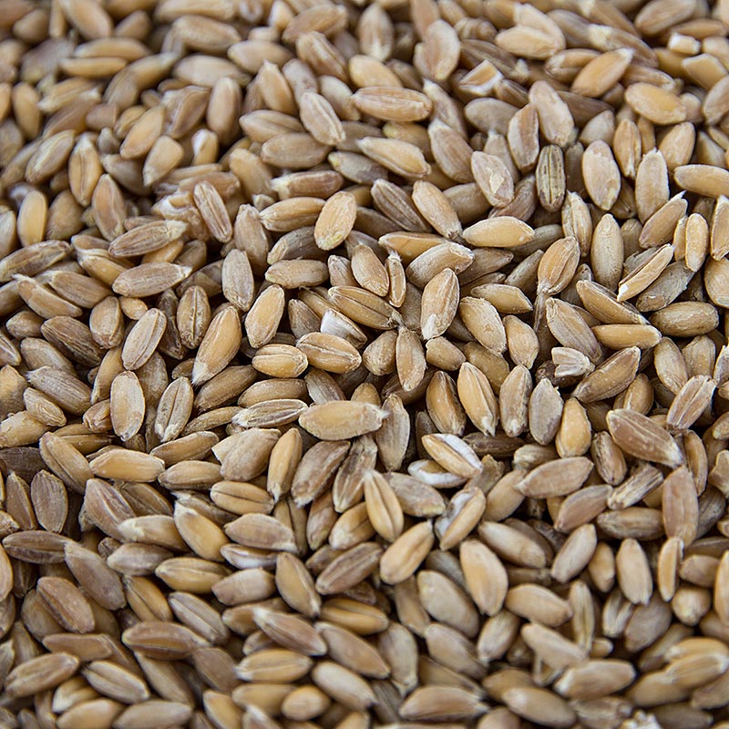 Organic whole grain Emmer Wheat (Zweikorn) product, 1 kg packaging