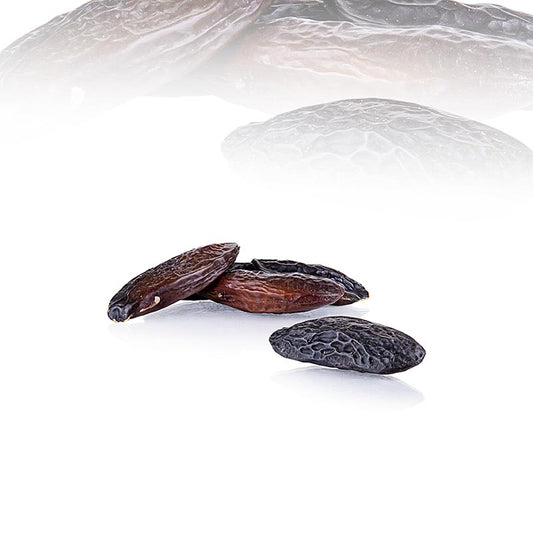 Tonkabohnen - Südamerikanische Delikatesse mit unverwechselbarem Vanille-, Mandel- und Karamellgeschmack, perfekt für kreative kulinarische Kreationen
