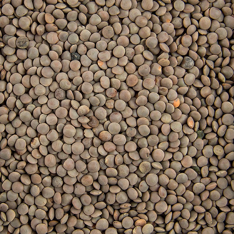 Braune Linsen, klein und kochfertig in 1 kg Verpackung, perfekt für Eintöpfe, Salate und Suppen